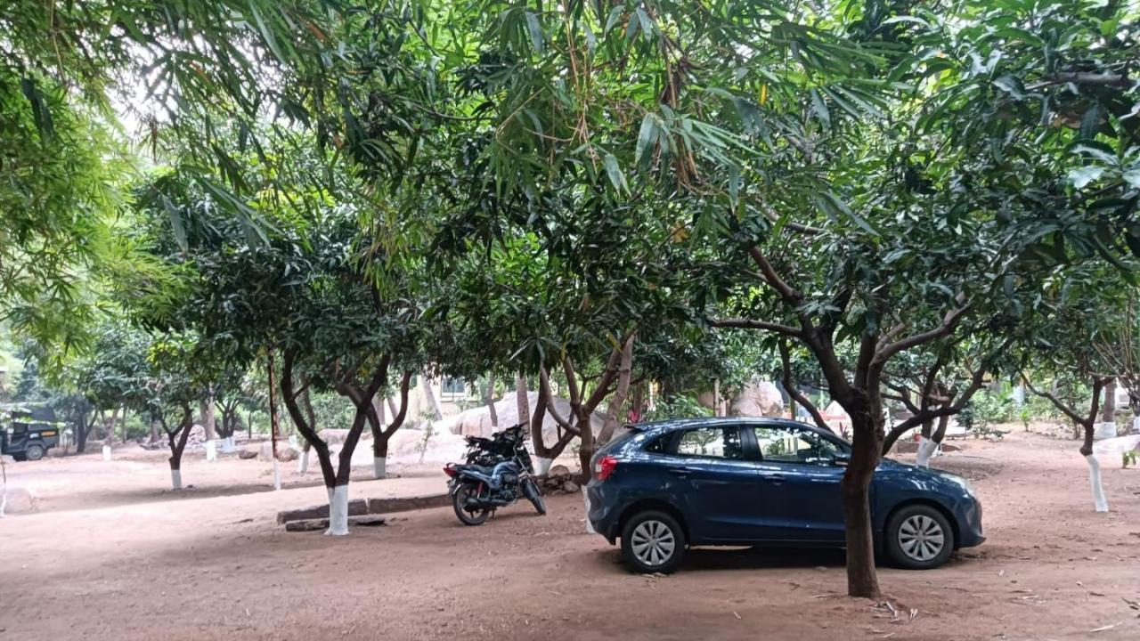 Shankar Homestay Hampi Extérieur photo
