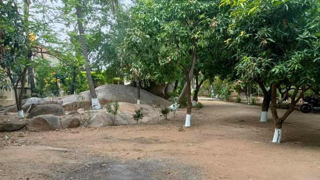 Shankar Homestay Hampi Extérieur photo